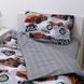 Постель для мальчика подростка Extreme 25410, Полуторный, 143х210, 150х214, 50x70-1шт