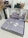 Постіль із сатину Delux Snazzy Quick Silver, Полуторний, 160х220, 180х245, 50x70-1шт и 70х70-1шт