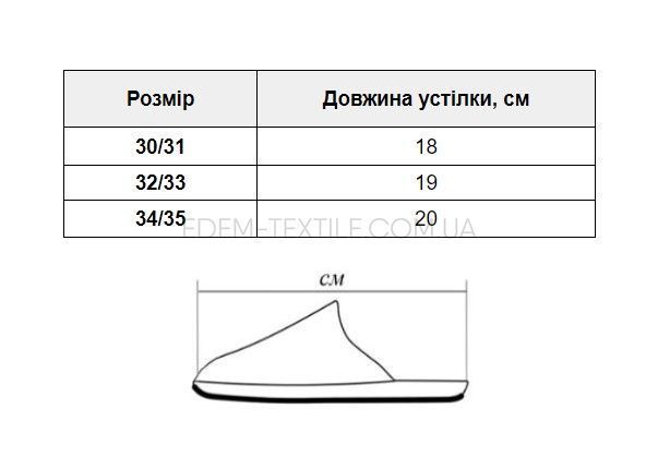 Фото Дитячі Кімнатні Тапочки Ведмедик В006