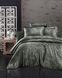 Красива Постільна білизна сатин Reagen Dark Green, Полуторний, 160х220, 180х245, 50x70-1шт и 70х70-1шт