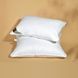 Подушка Super Soft Premium 50х70 ТМ Ideia, Білий, 50х70